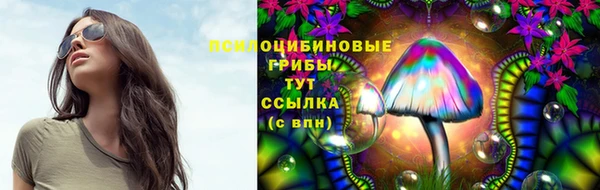 mdpv Богданович