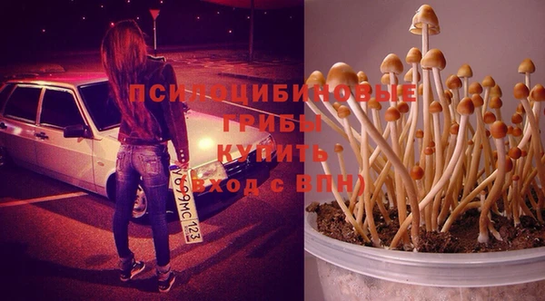 мдма Богородицк