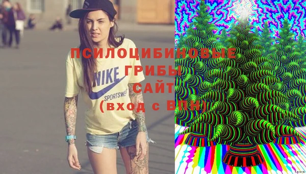 мдма Богородицк