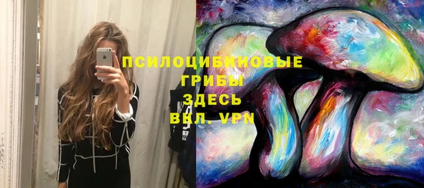 мдма Богородицк