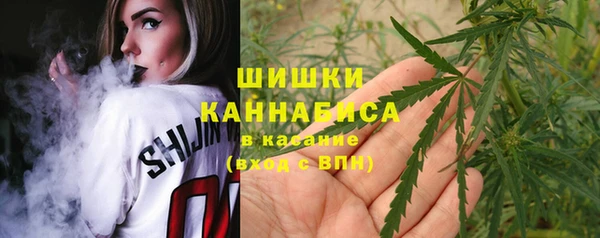 мдма Богородицк