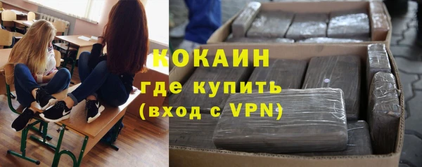 шишки Беломорск