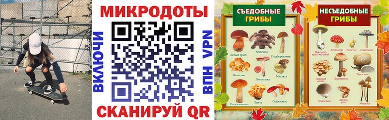 Псилоцибиновые грибы прущие грибы  Кохма 